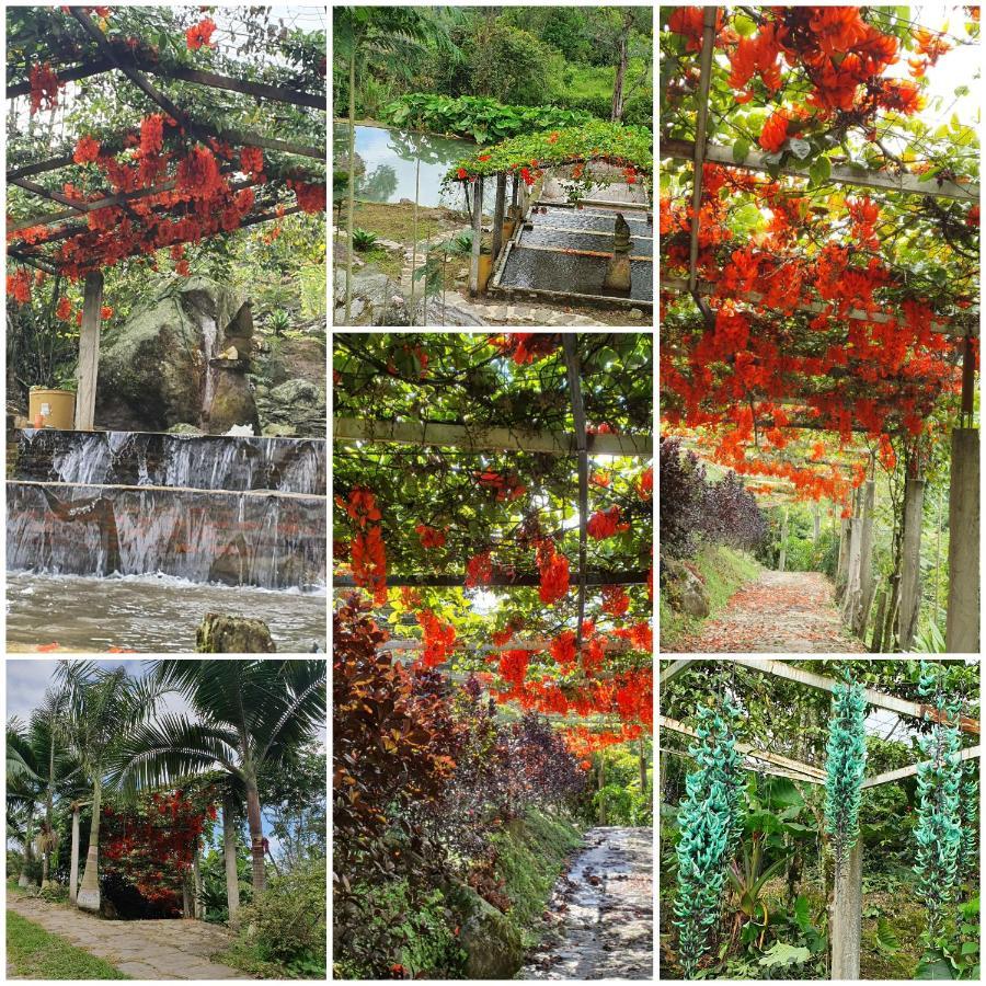Finca Jardin Del Agua Сасайма Екстер'єр фото