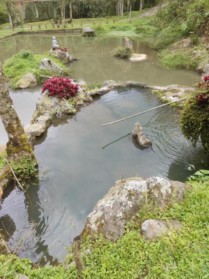 Finca Jardin Del Agua Сасайма Екстер'єр фото