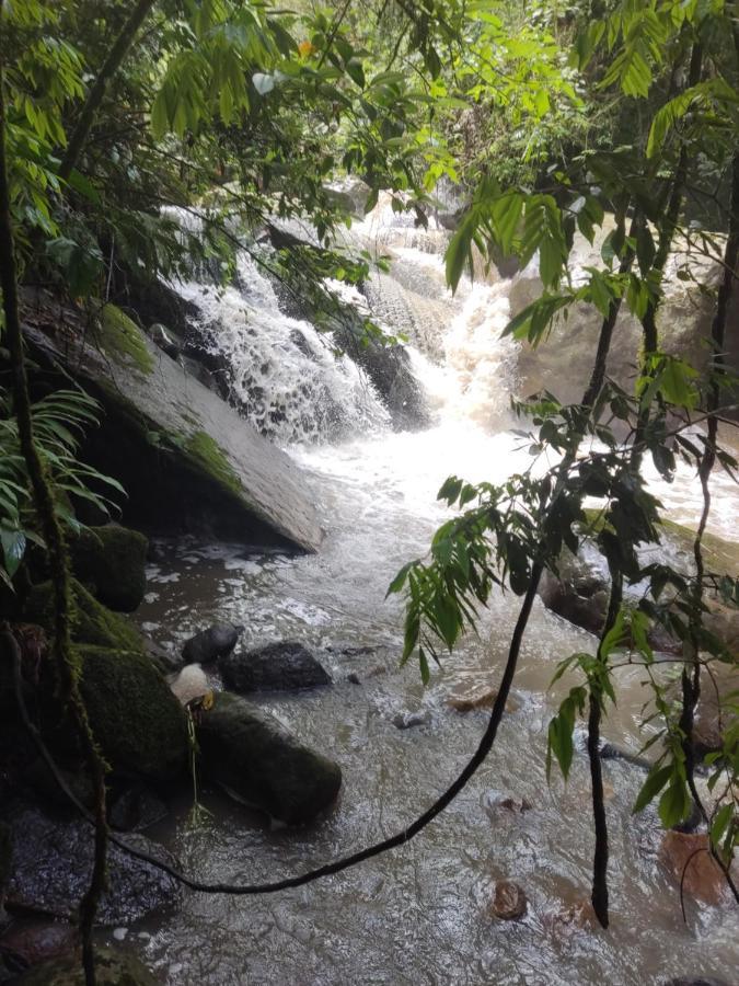 Finca Jardin Del Agua Сасайма Екстер'єр фото