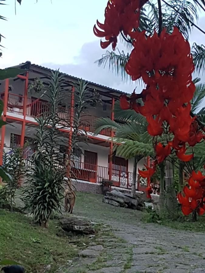 Finca Jardin Del Agua Сасайма Екстер'єр фото