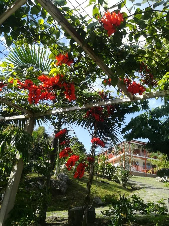 Finca Jardin Del Agua Сасайма Екстер'єр фото