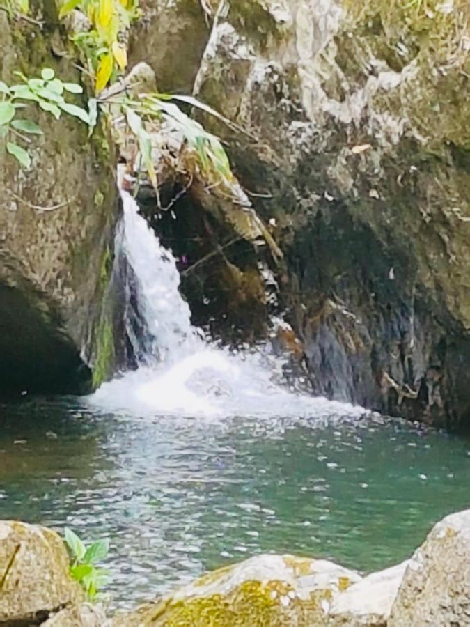 Finca Jardin Del Agua Сасайма Екстер'єр фото