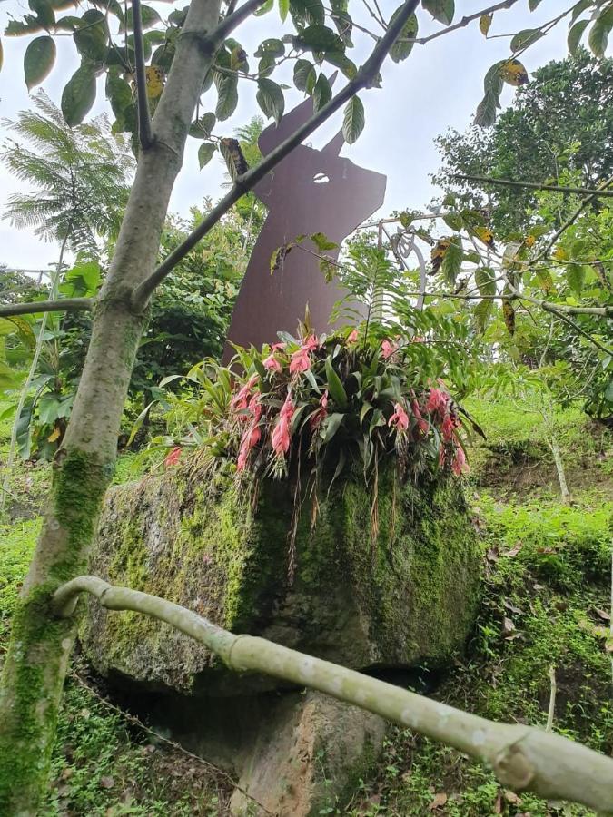Finca Jardin Del Agua Сасайма Екстер'єр фото