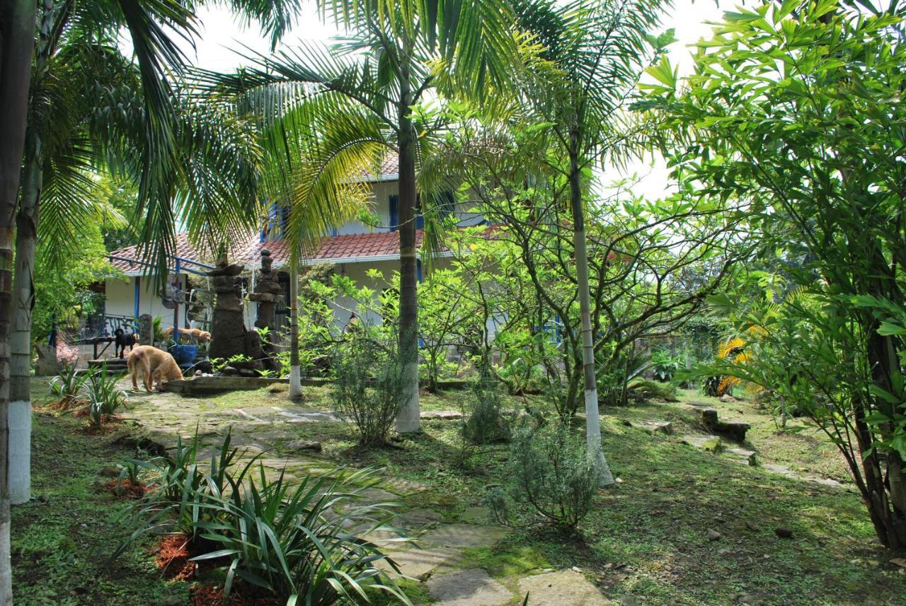 Finca Jardin Del Agua Сасайма Екстер'єр фото