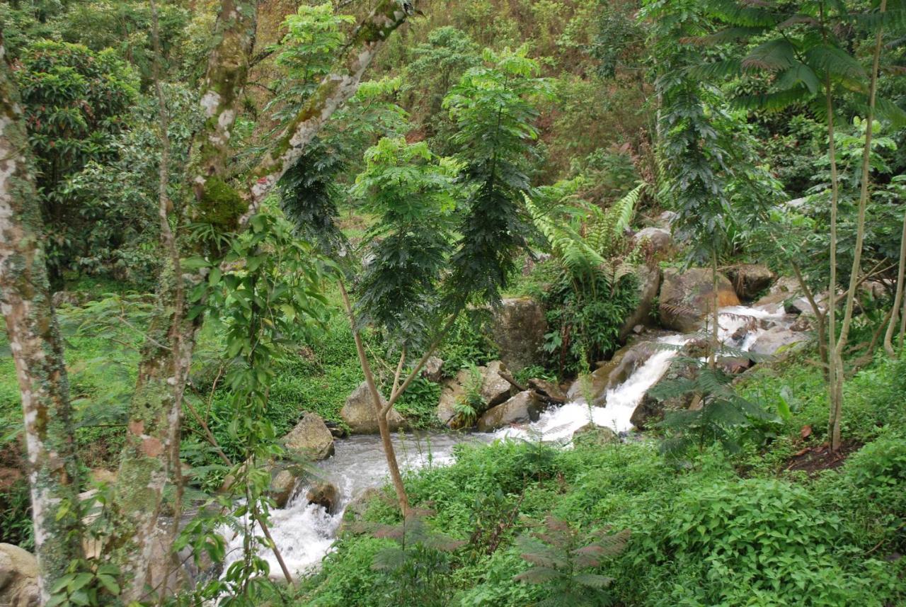 Finca Jardin Del Agua Сасайма Екстер'єр фото