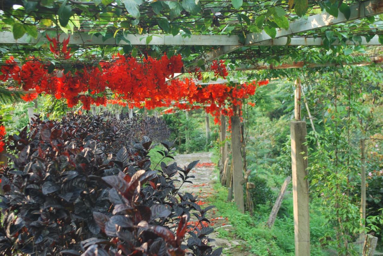 Finca Jardin Del Agua Сасайма Екстер'єр фото