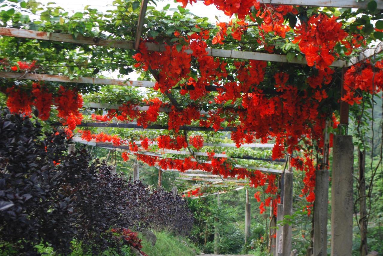 Finca Jardin Del Agua Сасайма Екстер'єр фото