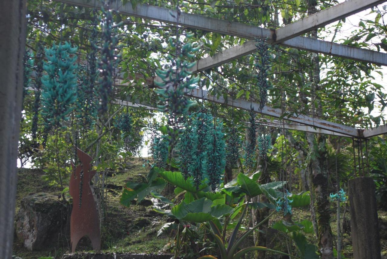 Finca Jardin Del Agua Сасайма Екстер'єр фото
